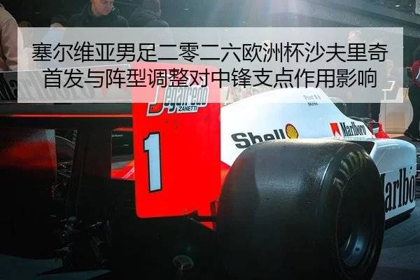 sai-er-wei-ya-nan-zu-er-ling-er-liu-ou-zhou-bei-sha-fu-li-qi-shou-fa-yu-zhen-xing-tiao-zheng-dui-zhong-feng-zhi-dian-2-188.jpg