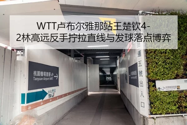 WTT卢布尔雅那站王楚钦4-2林高远反手拧拉直线与发球落点博弈